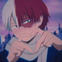 shoto todoroki(A.D)