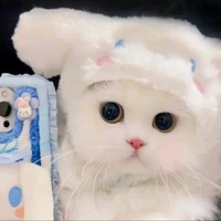 vivi