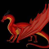 crécerelle 