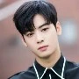 cha eun woo
