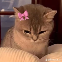 ลีวา