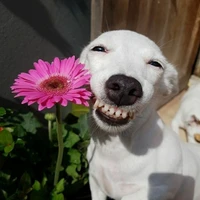 eu (criadora)