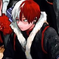 shoto todoroki