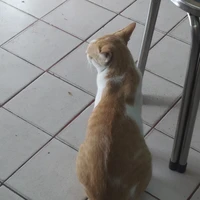 แอดคนฉวย