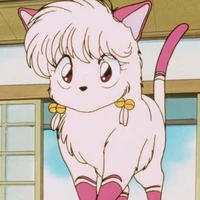 Shampoo (Cat)