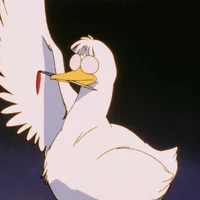 Mousse (Duck)