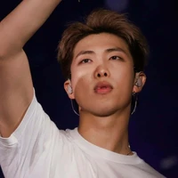 Namjoon ( Alfa )