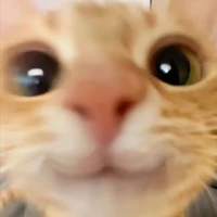 autora