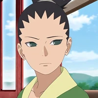 shikadai
