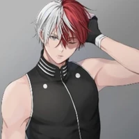 Shoto Todoroki O.D