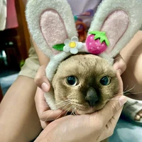 แอดคนดีคนเดิมที่ชอบมาม่า