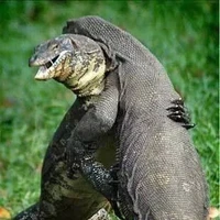 แอด