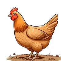 Chicky