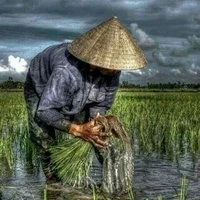 จำปา🌾: แม่บุญธรรมน.อ