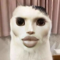 เเอดคร่ะ👁️👄👁️
