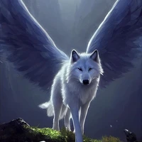 tsuki en loup ailés