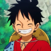 🍖Monkey D. Luffy🍖