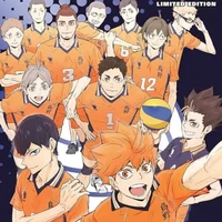 All karasuno tim