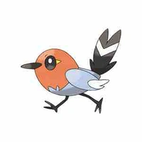 fletchling