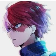Sotomayor Todoroki