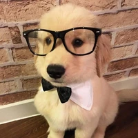 แอด