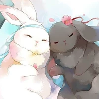 ◉𝐂𝐨𝐧𝐞𝐣𝐨𝐬◉