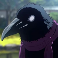 Corvo kasugai