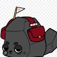  Coal