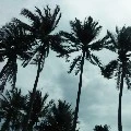 เเอด