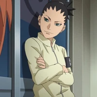 shikadai