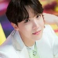 Hobi