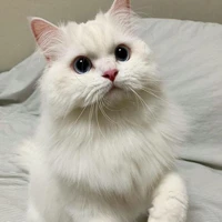 แมรี่