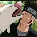 kiba