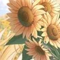 all