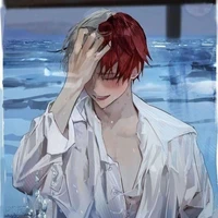 shoto todoroki (D)