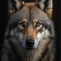Lobo de Angel