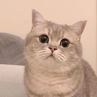 แอด