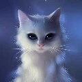 kitty