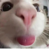 แอดเองงง