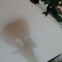 autora