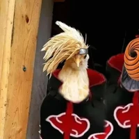 🐓Autora🐓