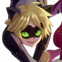 chat noir