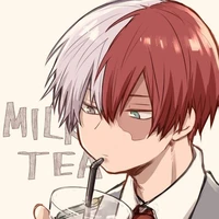 Shoto todoroki