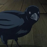 Gagak kasugai