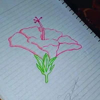 autora