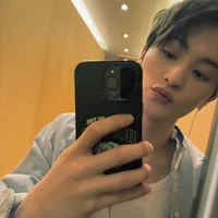 Lee mark