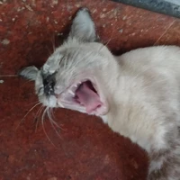 แอดเองฮะ👋