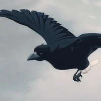Kanzaburo (Corvo do Tomioka)