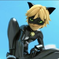 catnoir