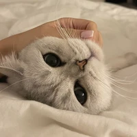 มาวๆ